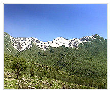 کوه شاهو